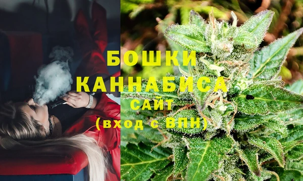 крисы Верея