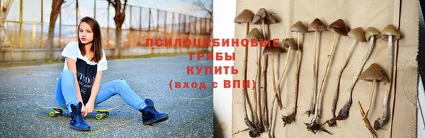 ALPHA PVP Верхнеуральск