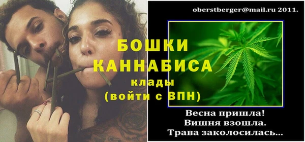 крисы Верея