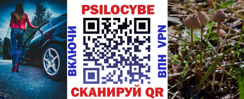 Купить где  Саки  Псилоцибиновые грибы Psilocybine cubensis 